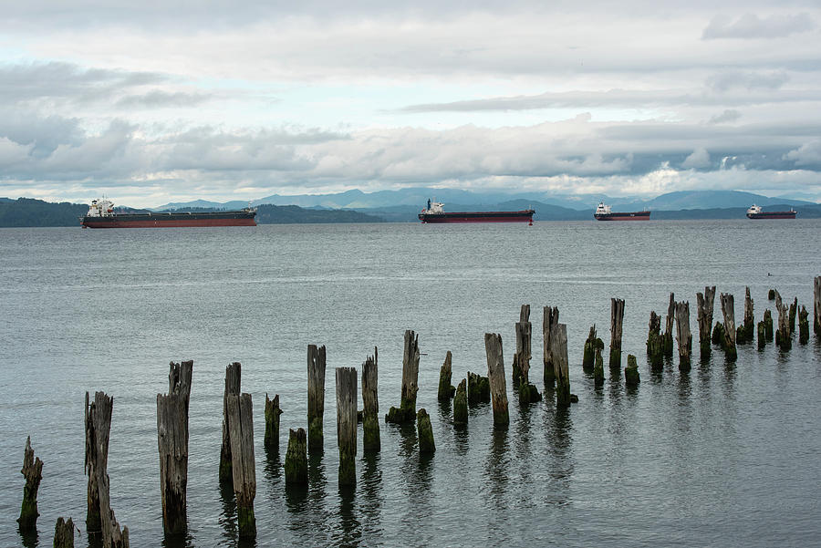 Lines in the Columbia Photograph by Tom Cochran