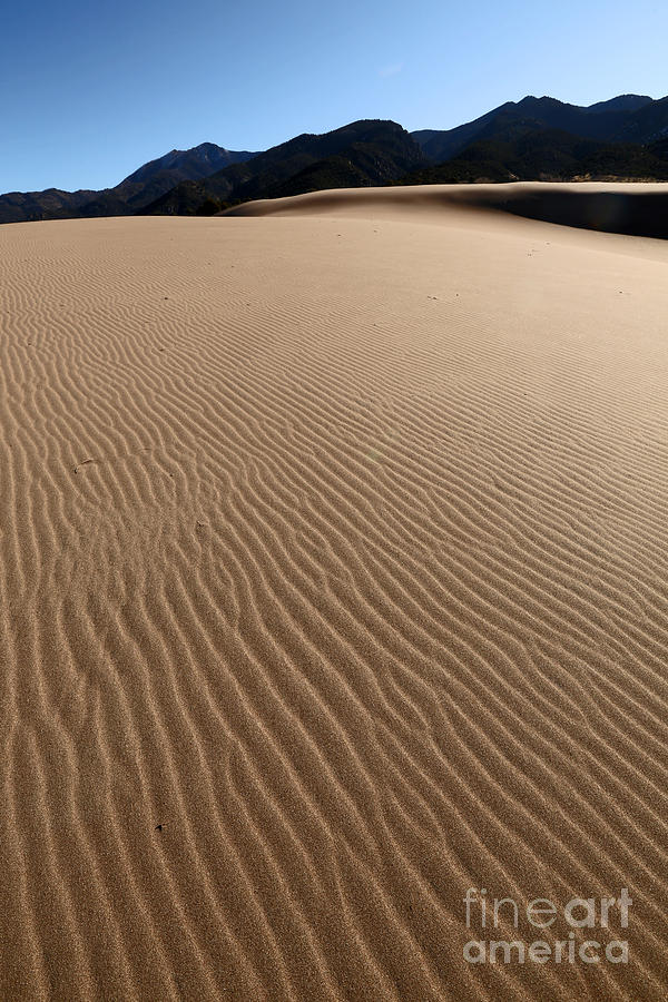 Lines in the Sand Photograph by Betty Morgan