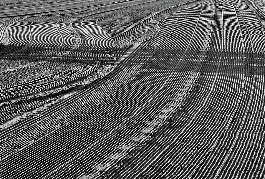 Lines In The Sand BW  Photograph by Lyle Crump