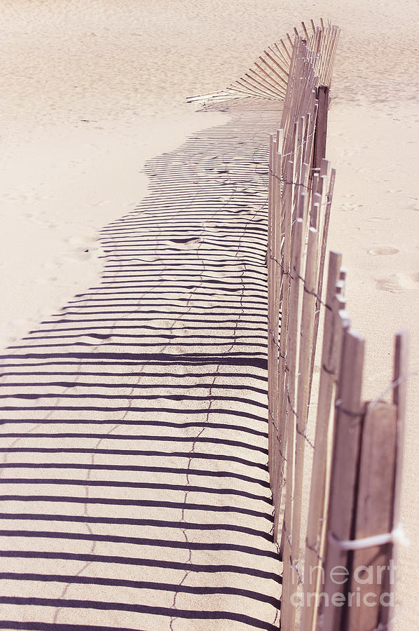 Lines in the Sand Photograph by Colleen Kammerer