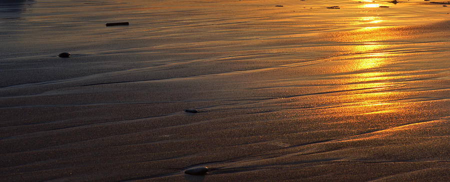 Lines in the Sand Photograph by Josephine Buschman