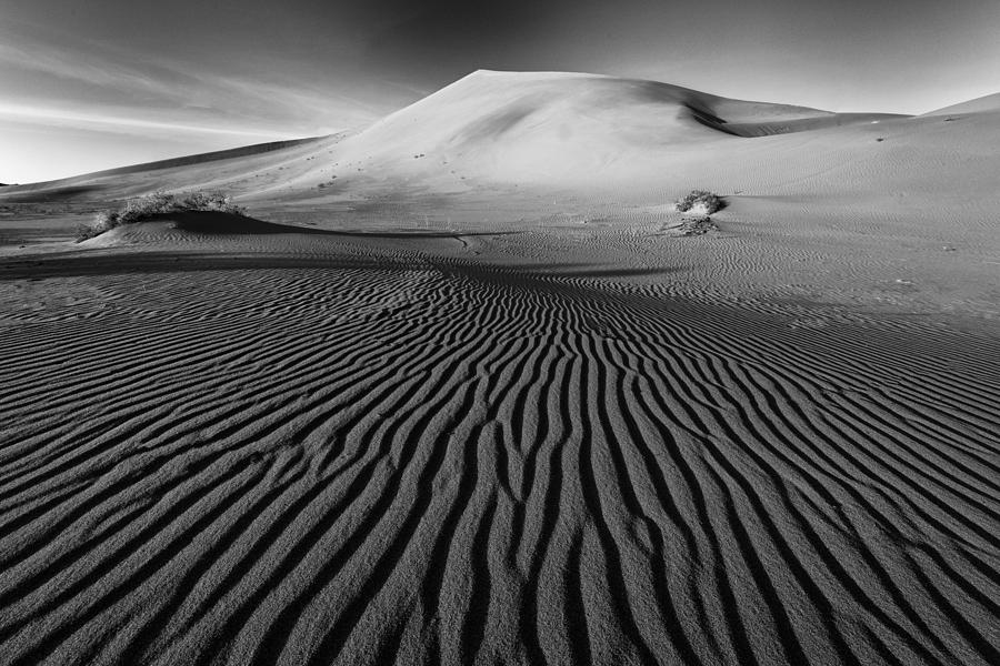 Lines in the Sand Photograph by Mike Lang