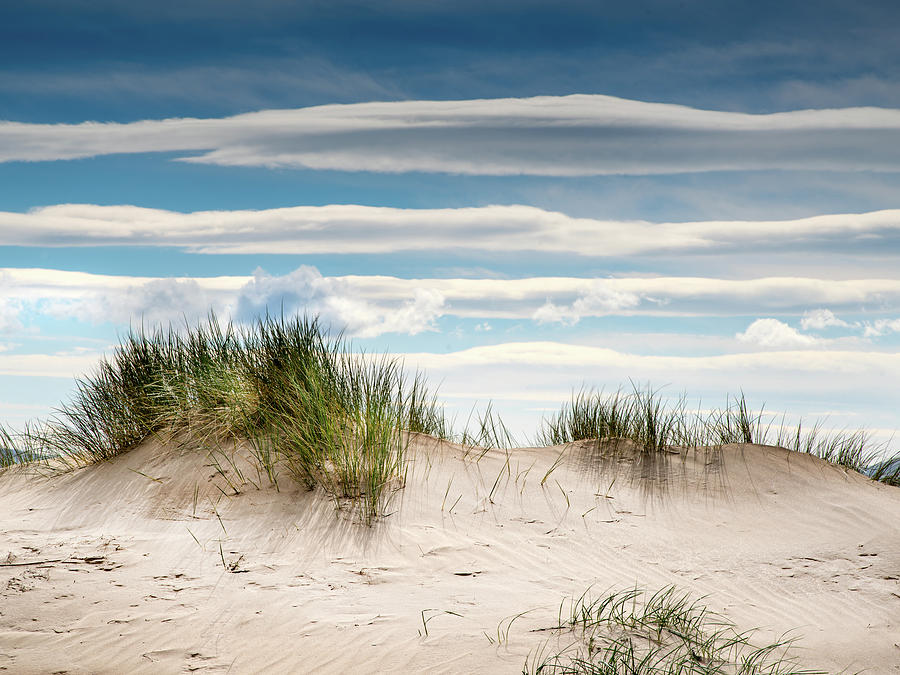 Lines in the sky Photograph by Richard Greswell