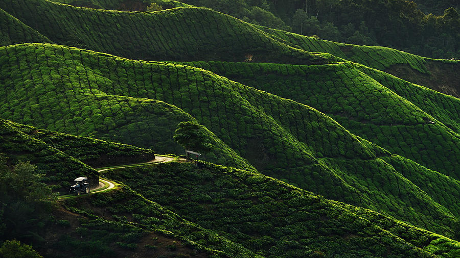 Landscape Photograph - Lines by Jordan Lye Landscape Photograph - Lines by Jordan Lye