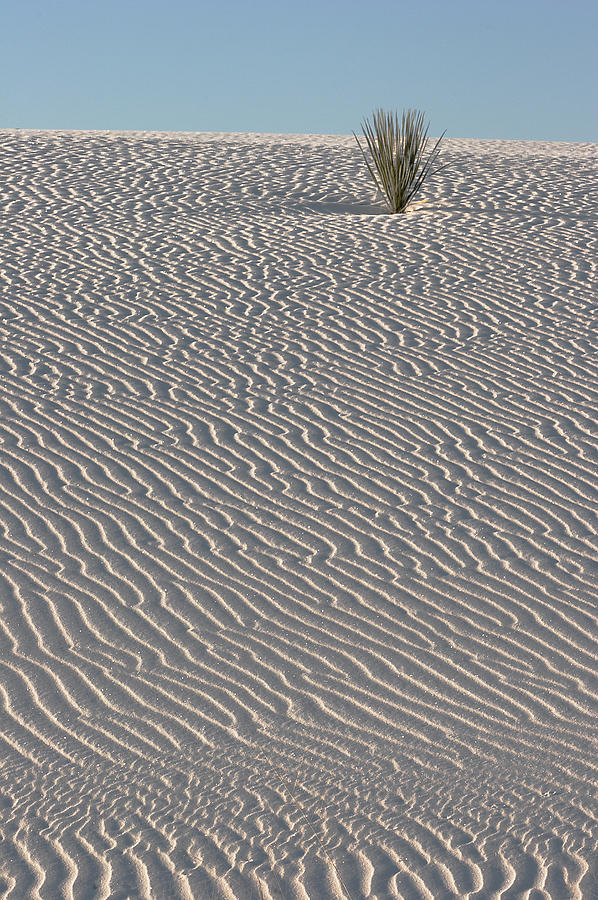 Lines of Sand Photograph by Harold Stinnette