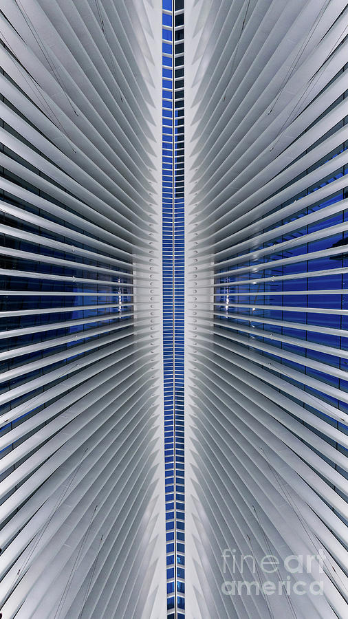 Lines Of Symmetry  Photograph by Michael Ver Sprill