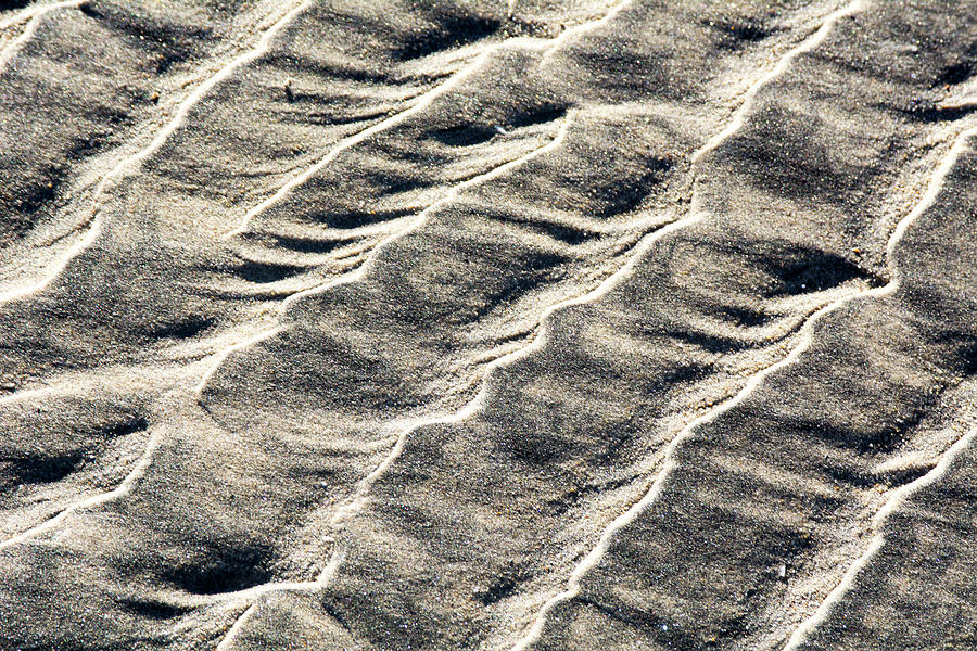 Lines on the Beach Photograph by David Shuler