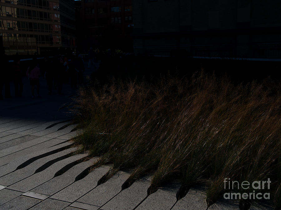 Lines Photograph - Lines Part One. by Killian Reimers Lines Photograph - Lines Part One. by Killian Reimers