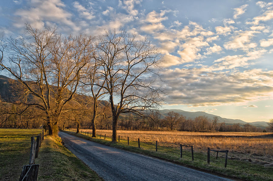 Linger Longer Photograph by Kristina Plaas - Fine Art America