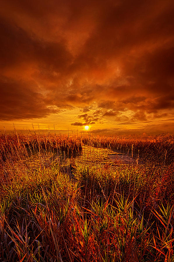 Lingering Photograph by Phil Koch