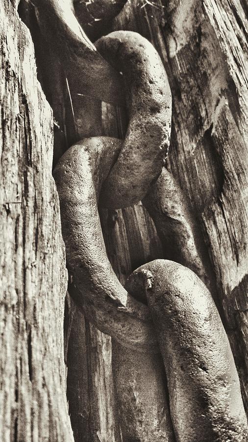 Links to Copper Harbor's Past Photograph by Scott Wendt Tom Wierciak