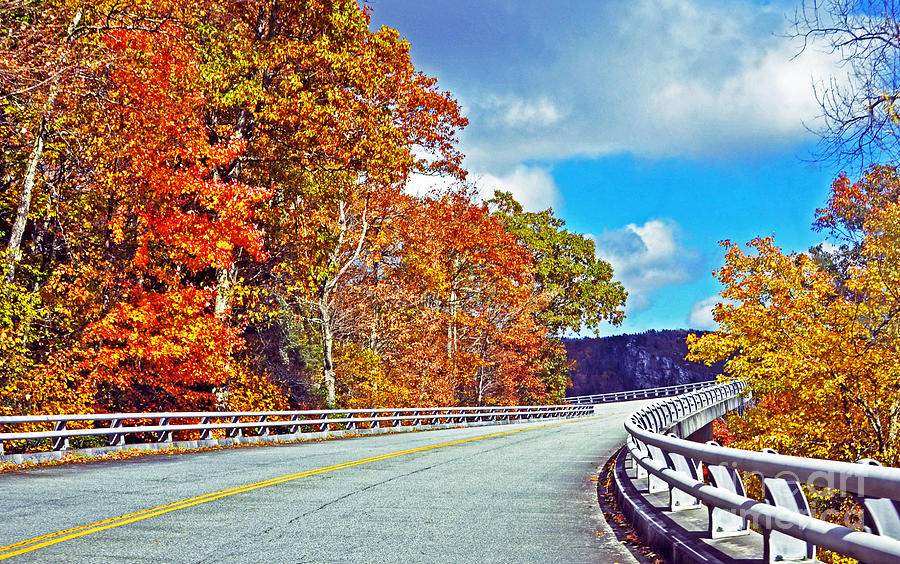 Linn Cove Viaduct in Autumn Photograph by Lydia Holly