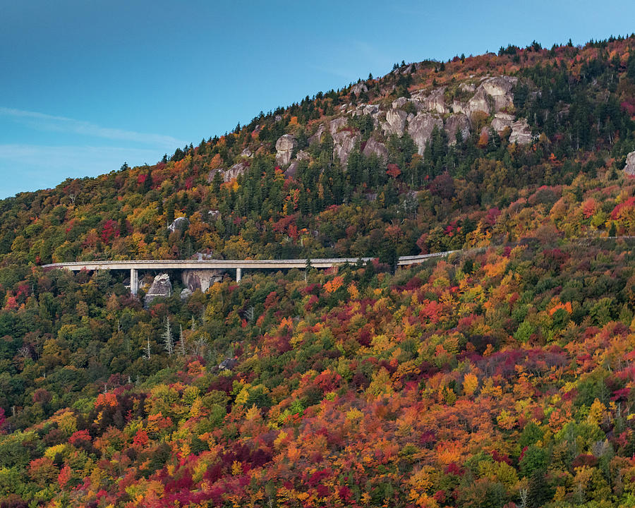 Linn Cove Viaduct In Fall from Rough Ridge Photograph by Kelly VanDellen