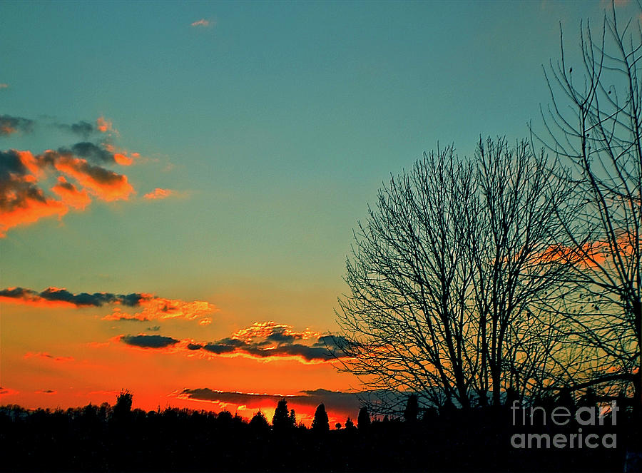 Linvilla Sunset Photograph by Sandy Moulder