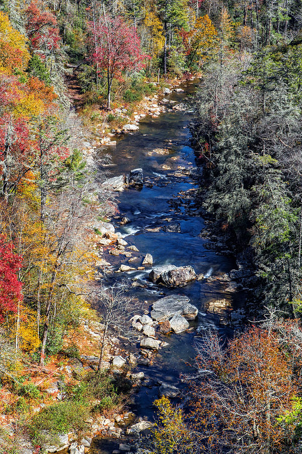 Linville River Autumn Photograph by Alan Raasch