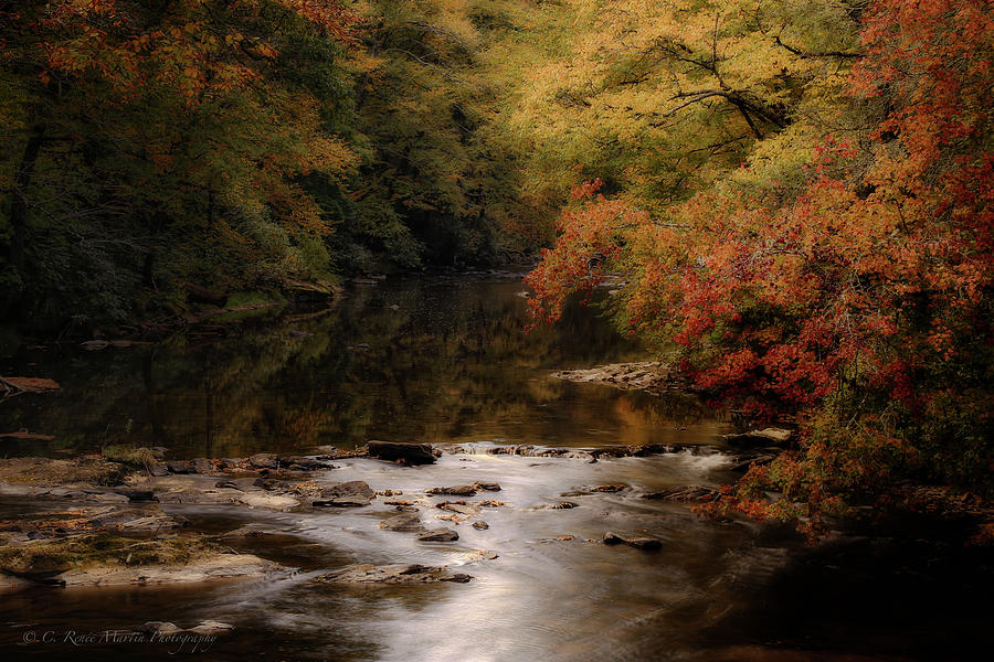 Linville River Autumn Photograph by C  Renee Martin
