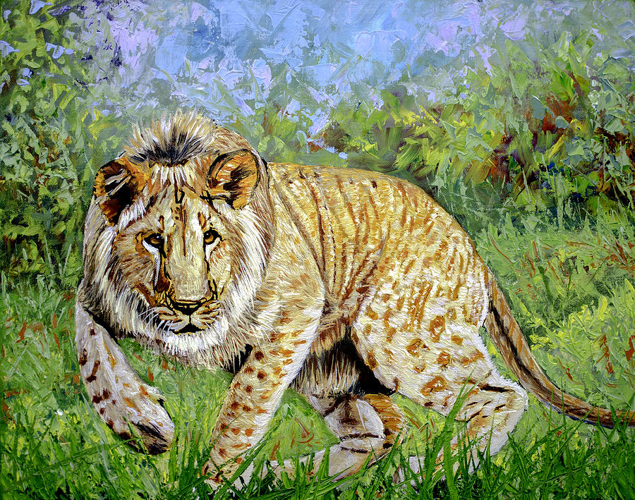 Nature Painting - Lion 16x20x1 inch oil on Gallery canvas by Manuel Lopez