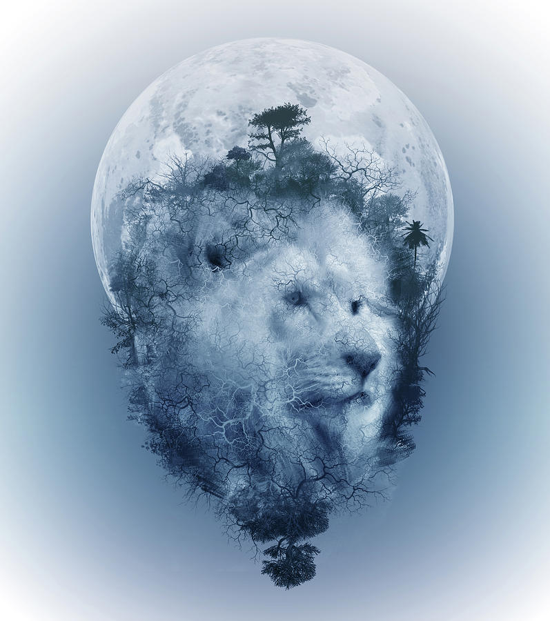 Lion 2 Digital Art