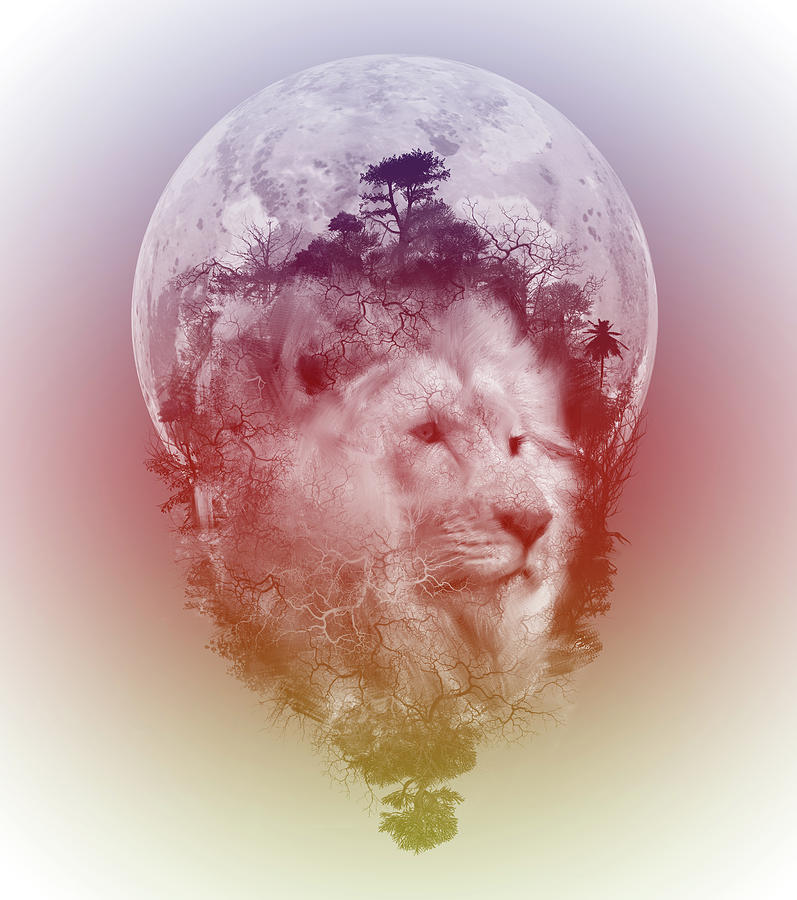 Lion Digital Art - Lion 3 by Bekim M