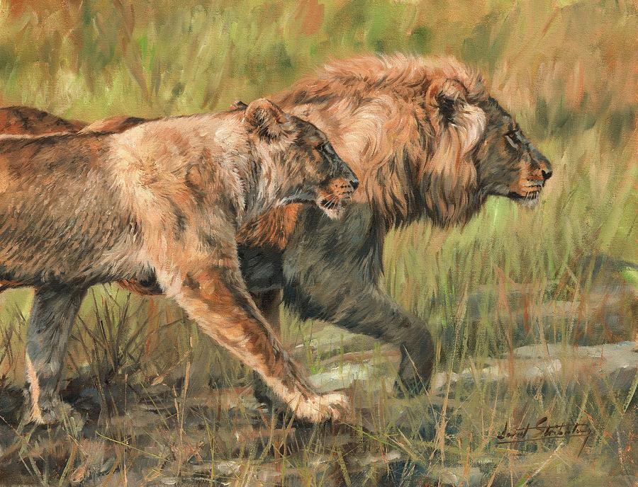 Lion and Lioness Painting by David Stribbling
