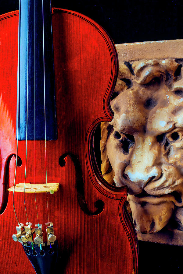 Lion And Violin Photograph by Garry Gay