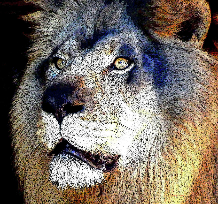 Lion Digital Art - Lion by Cathy Harper