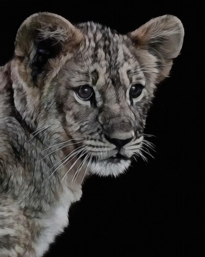 Lion Digital Art - Lion Cub Portrait by Ernest Echols