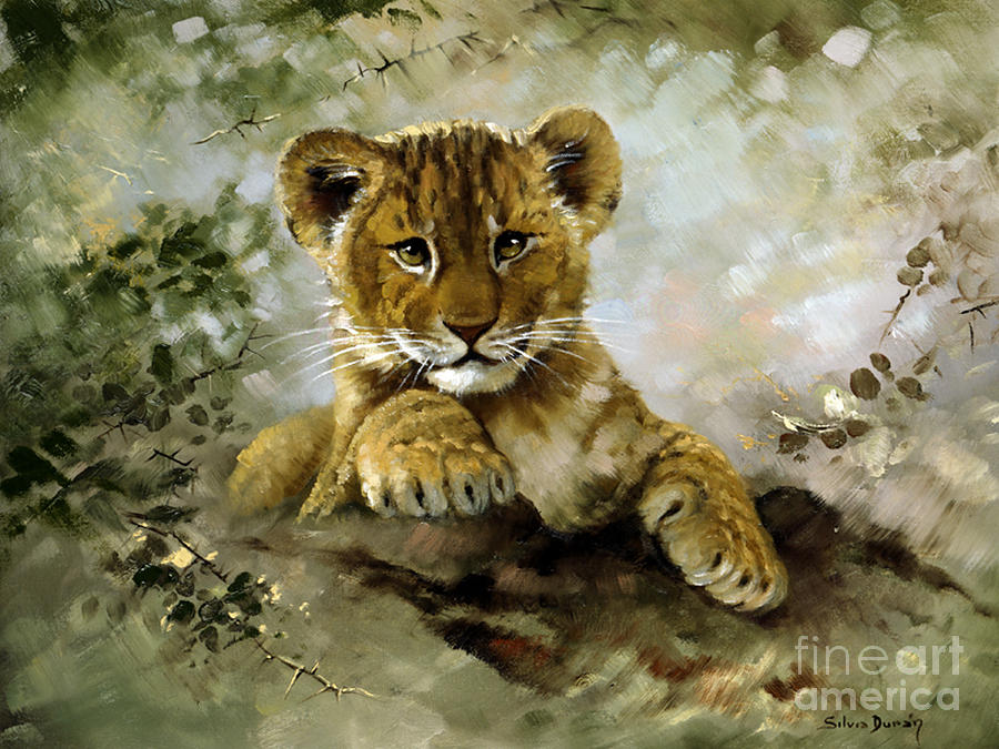Lion Cub Painting - Lion cub by Silvia  Duran