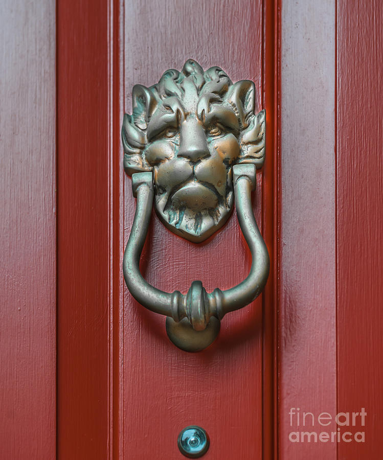 Lion Door Knocker Photograph by Dale Powell
