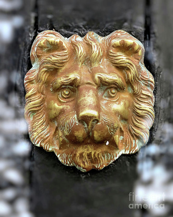 Lion Face Door Knocker Photograph by Janice Drew