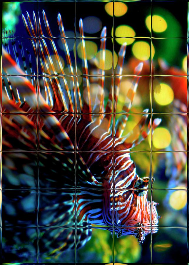 Lion Fish 4. Glass. Photograph