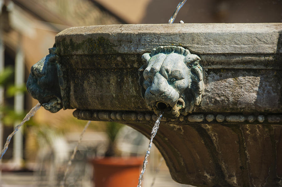 Lion Fountain. Photograph by John Paul Cullen