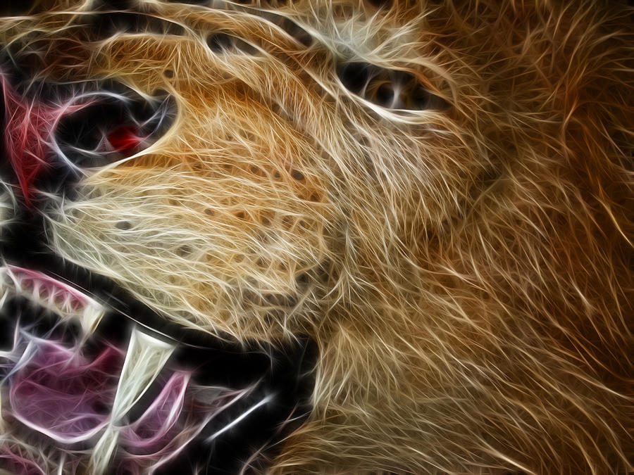 Nature Photograph - Lion Fractal by Shane Bechler