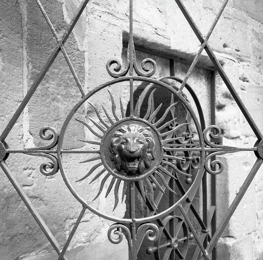 Lion Gate Medallion B W Photograph by Teresa Mucha