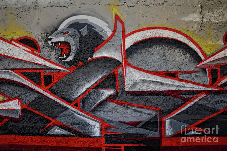 Lion Graffiti - Valencia Photograph by Mary Machare