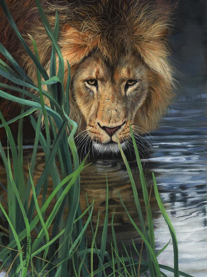 Lion Grass and Water Painting by David Stribbling