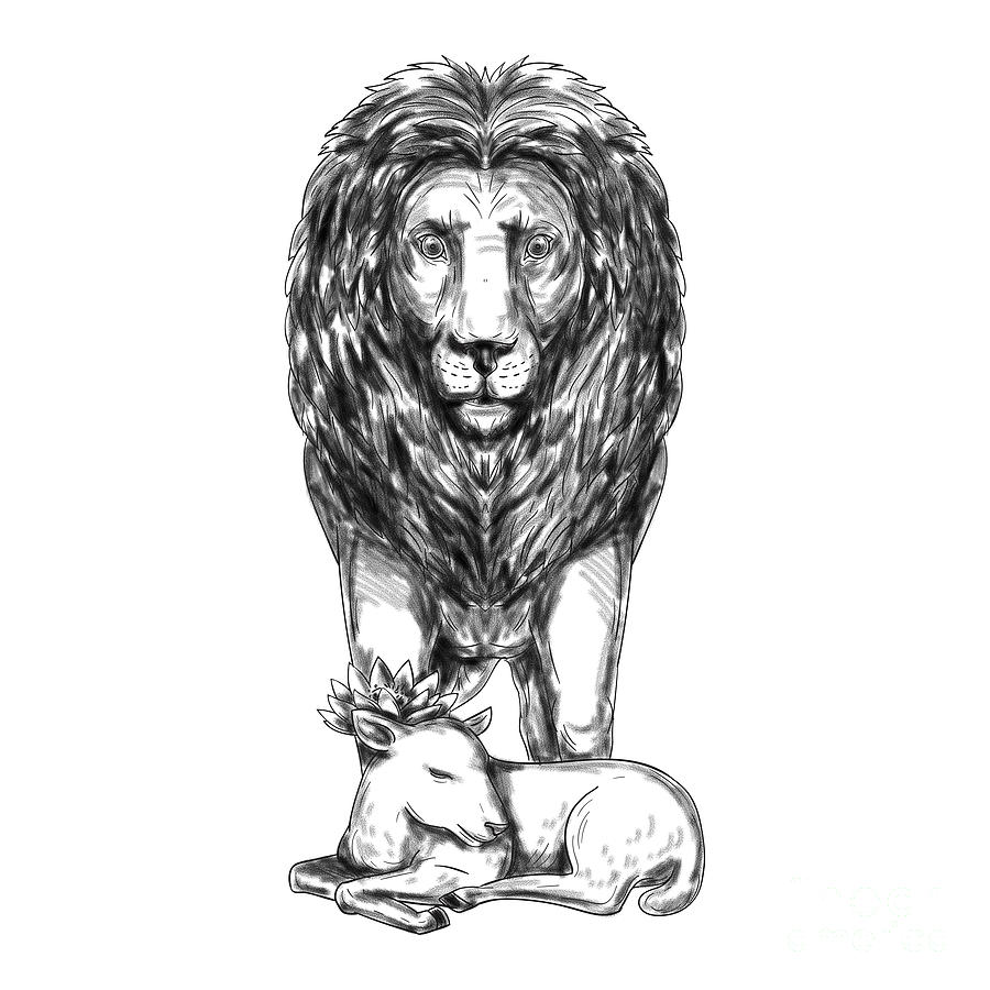 lion and lamb clip art
