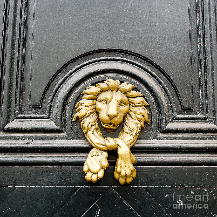 Lion head door knocker Photograph by Ivy Ho