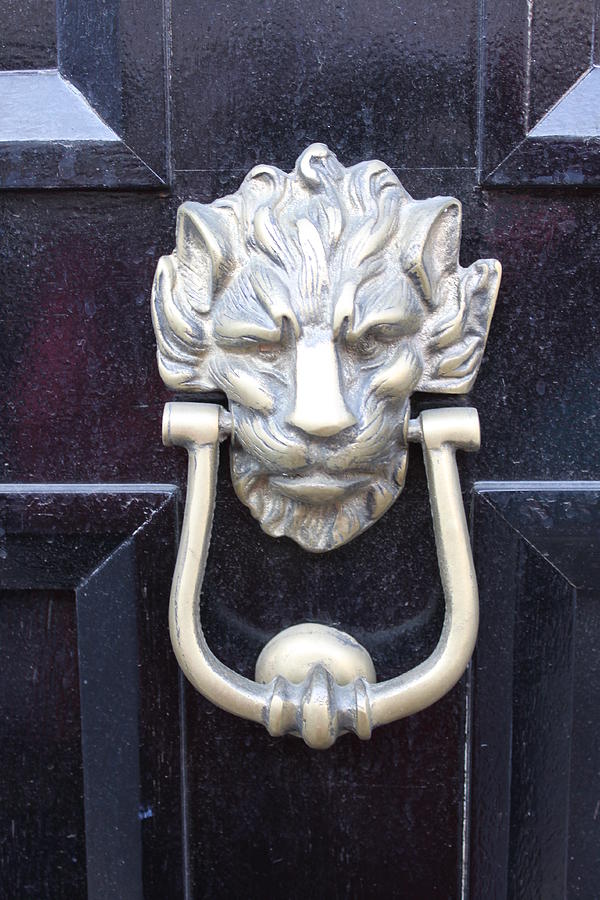 Lion Head Door Knocker Photograph