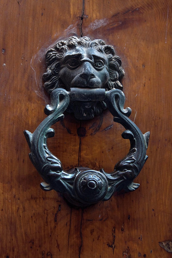 Lion Head Door Knocker Photograph by Sally Weigand
