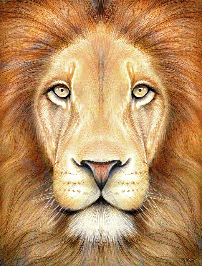 Lion Head in Color Drawing by Greg Joens Pixels