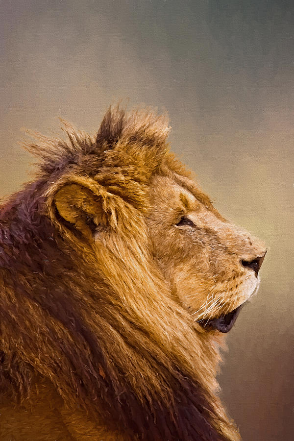 Nature Photograph - Lion Head by Maria Coulson