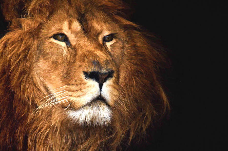 Lion Head Oil Painting Photograph by John Williams