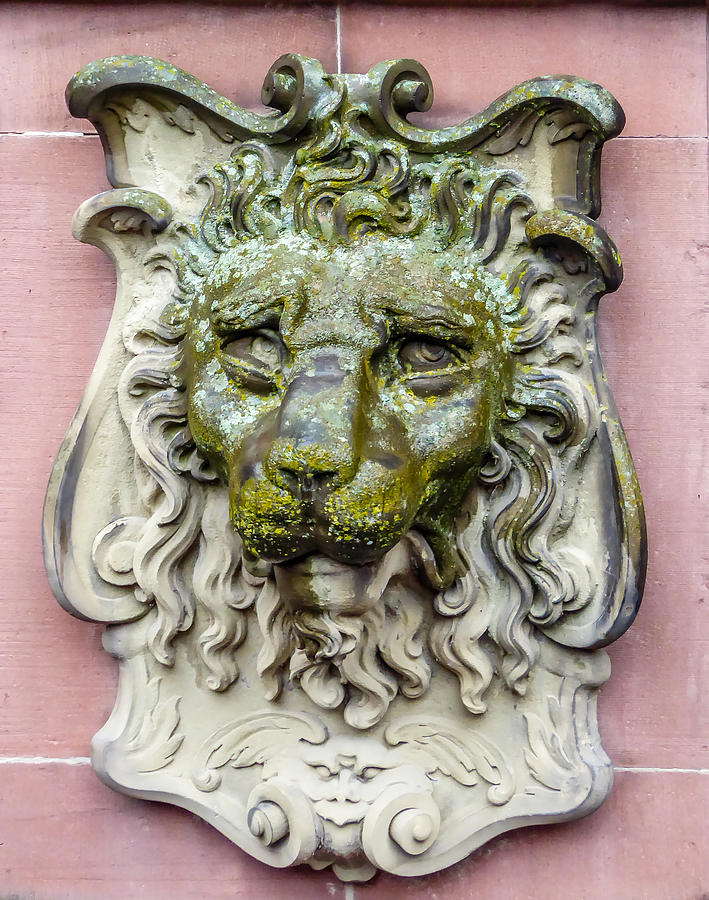 Lion - Heidelberg Castle Photograph by Pamela Newcomb