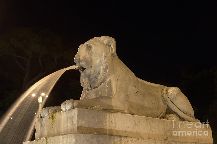 Lion in Egyptian style Photograph by Fabrizio Ruggeri