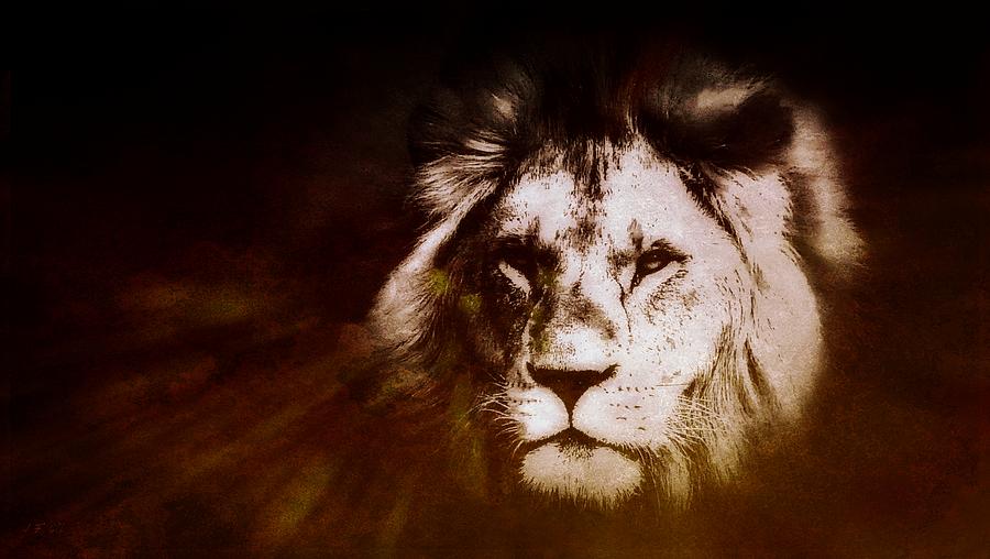 Lion Photograph by Jean Francois Gil
