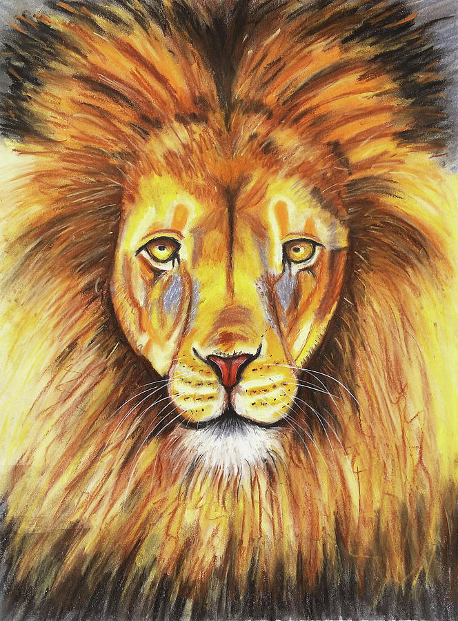 Lion For Children Pastel Chalk Drawing Canvas Print / Canvas Art