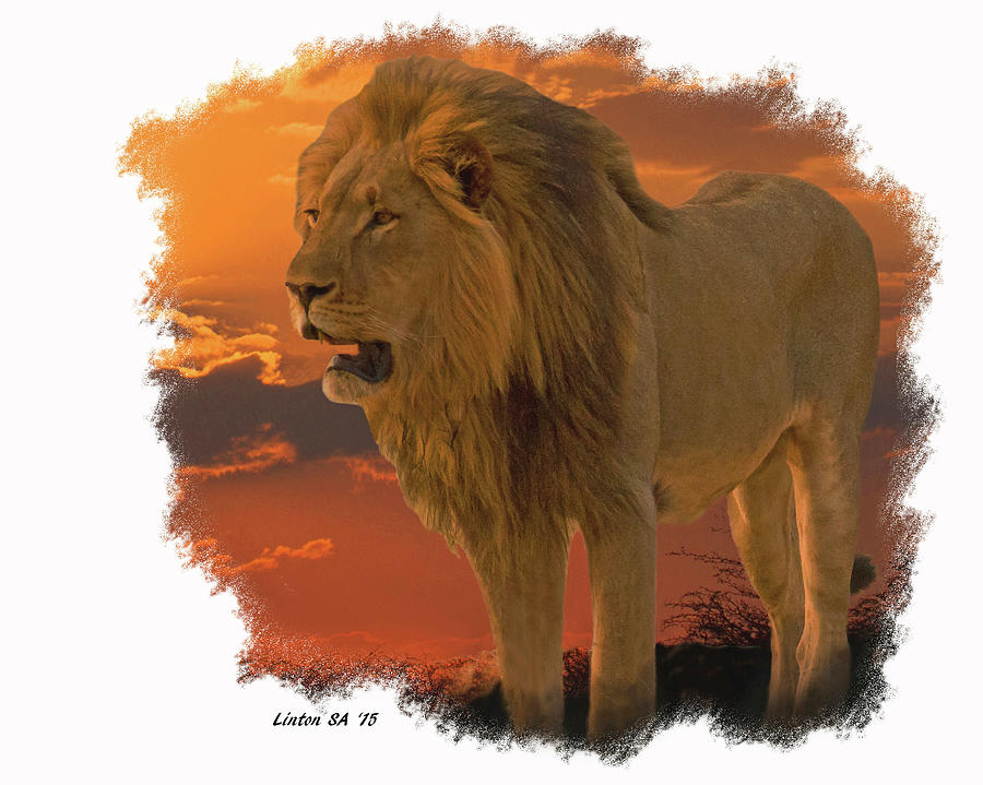 Lion King Digital Art by Larry Linton