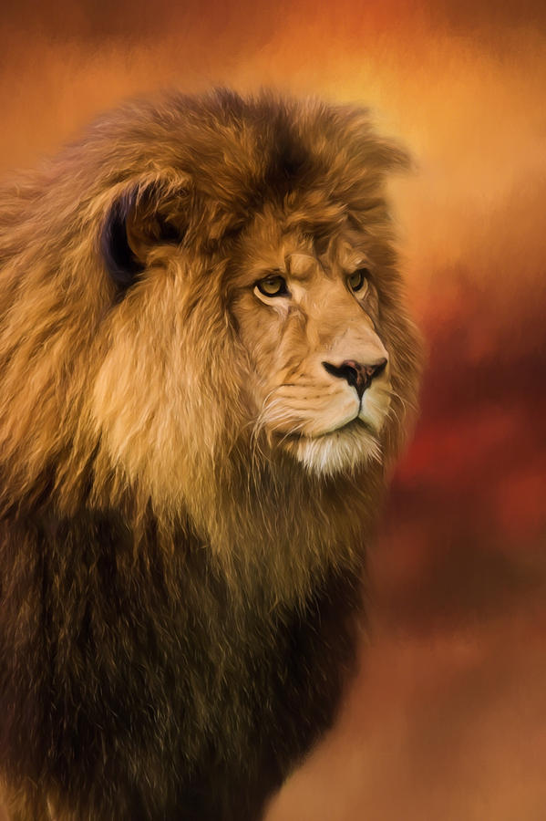 Wildlife Painting - Lion Legacy - Lion Art by Jordan Blackstone