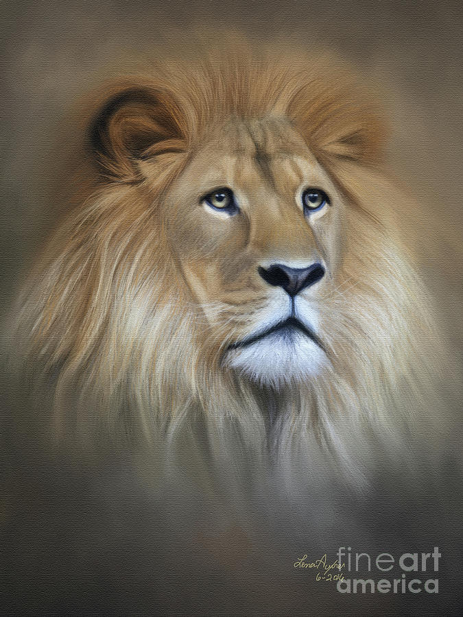 Lion Digital Art by Lena Auxier